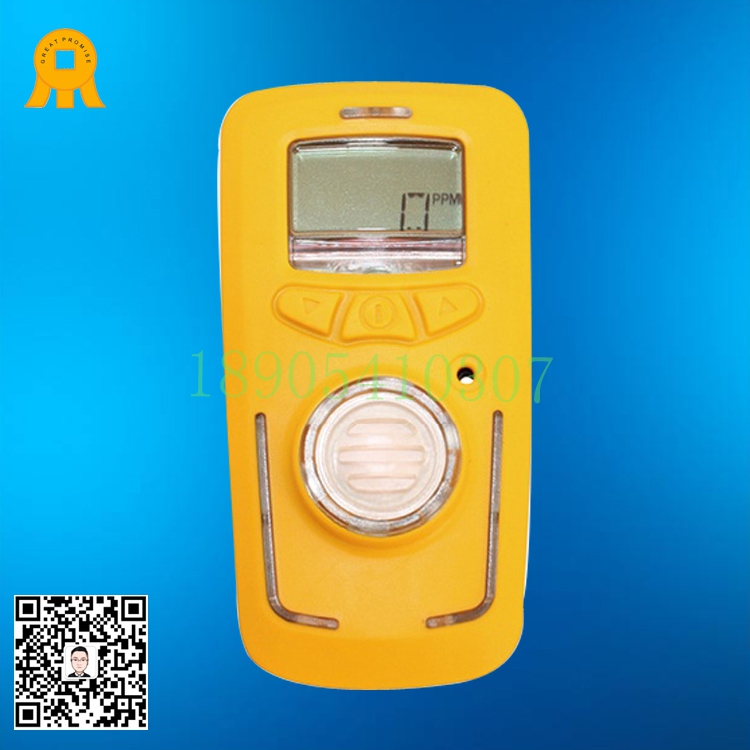 DN-A1000气体检测仪