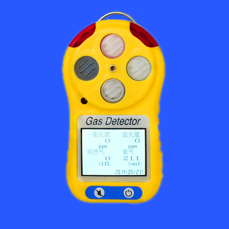 DN-B4000多种气体检测仪-1